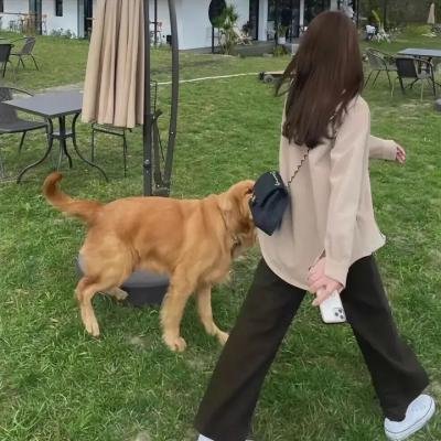 无证之据